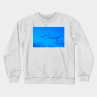 Caribbean Reef Shark Crewneck Sweatshirt